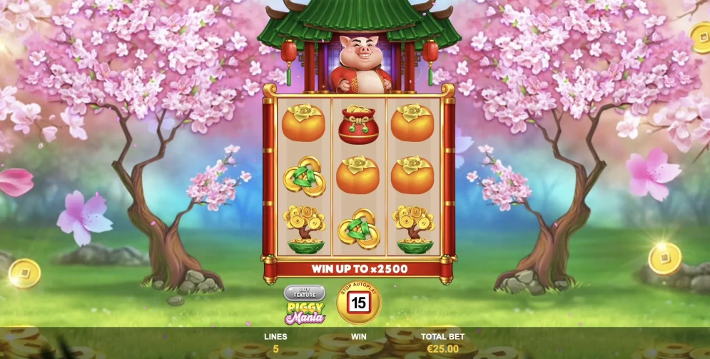 Piggy Mania